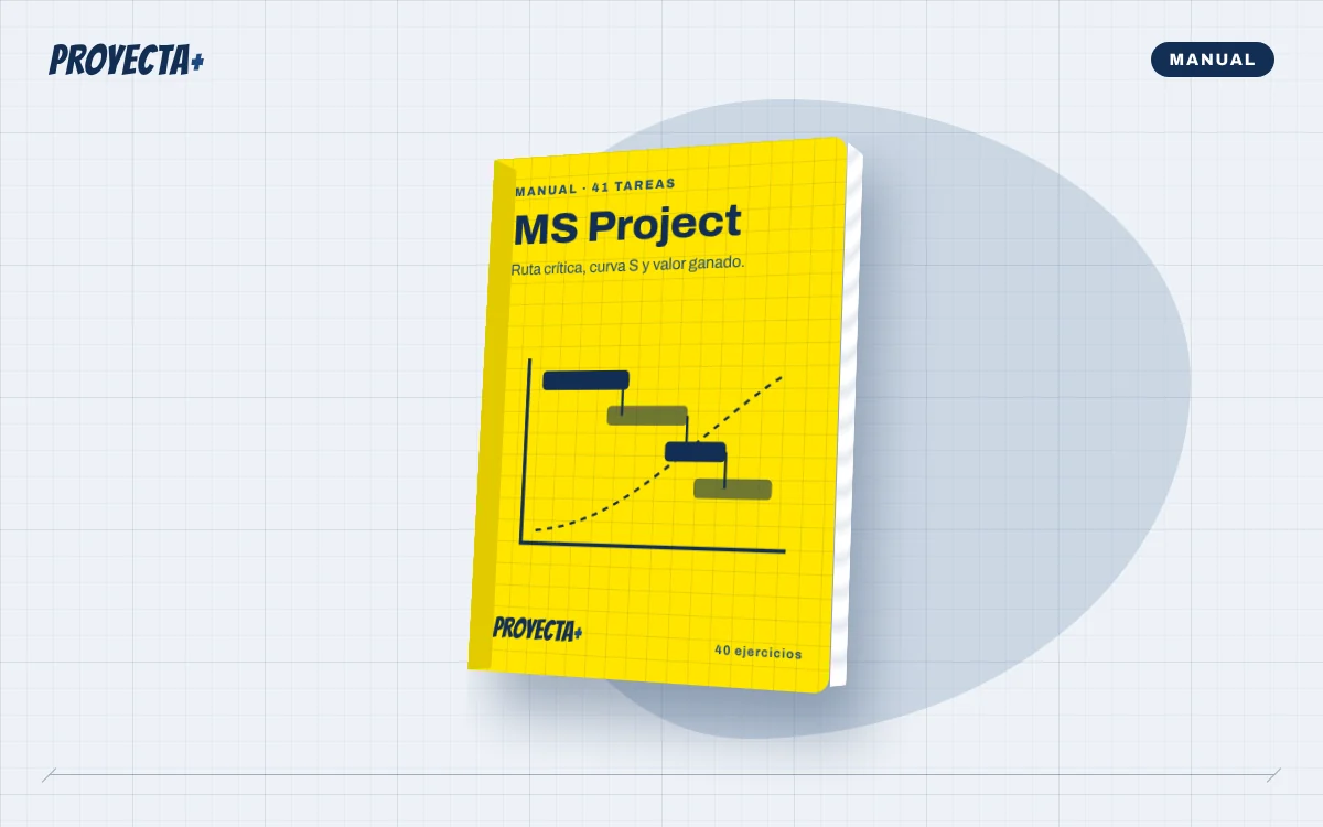 MS Project